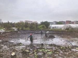 平阳河道鱼塘清淤